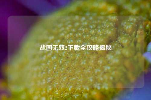 战国无双2下载全攻略揭秘