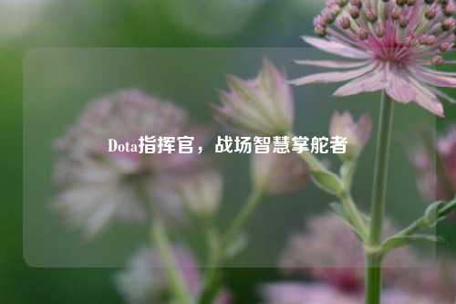 Dota指挥官，战场智慧掌舵者