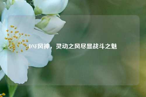 DNF风神，灵动之风尽显战斗之魅