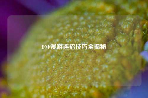 DNF漫游连招技巧全揭秘