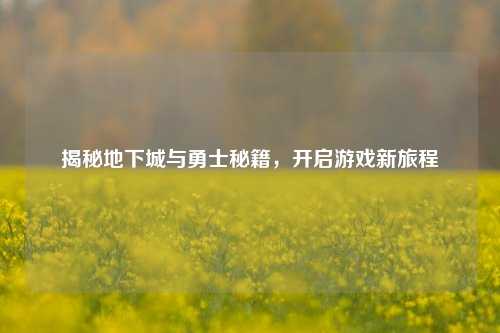 揭秘地下城与勇士秘籍,开启游戏新旅程