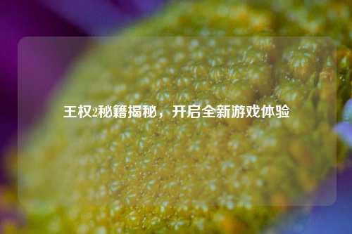 王权2秘籍揭秘，开启全新游戏体验