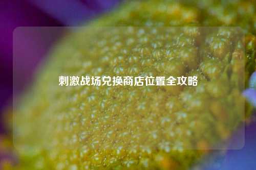 刺激战场兑换商店位置全攻略