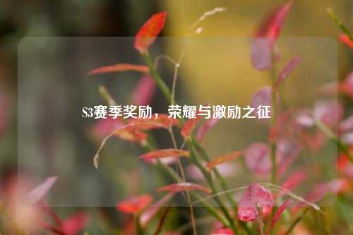 S3赛季奖励,荣耀与激励之征