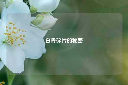 白骨碎片的秘密