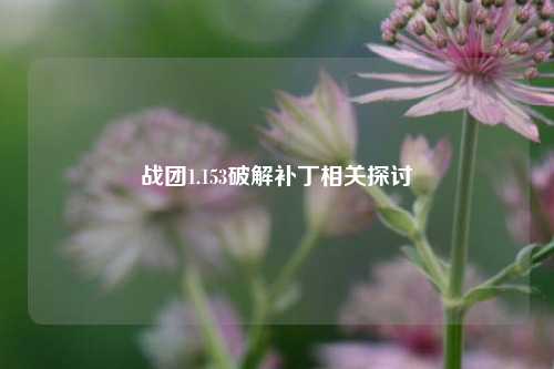 战团1.153破解补丁相关探讨