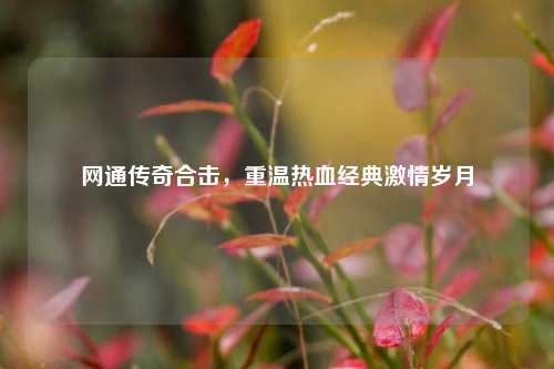 网通传奇合击,重温热血经典激情岁月