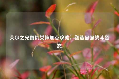 艾尔之光复仇女神加点攻略，塑造最强战斗姿态
