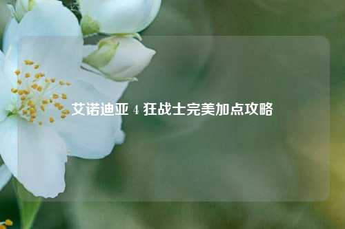艾诺迪亚 4 狂战士完美加点攻略