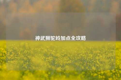 神武狮驼岭加点全攻略