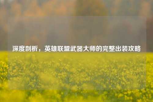 深度剖析,英雄联盟武器大师的完整出装攻略