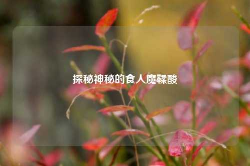 探秘神秘的食人魔鞣酸