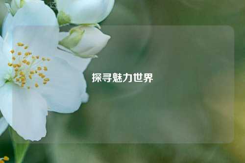探寻魅力世界