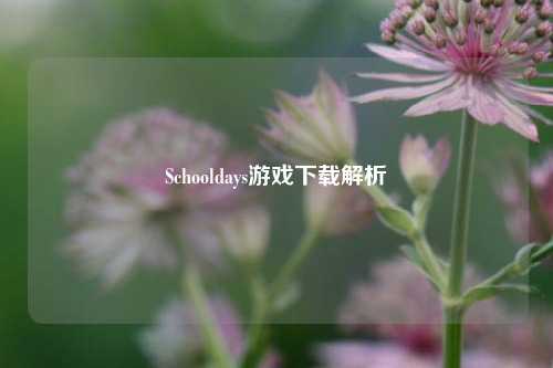 Schooldays游戏下载解析