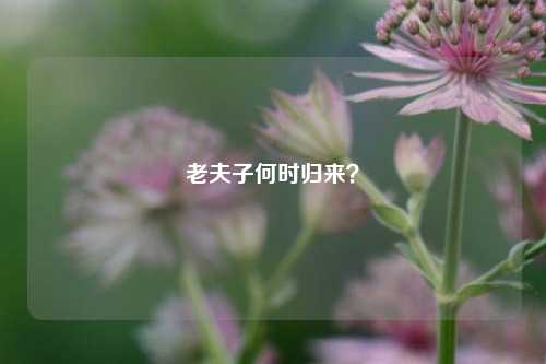 老夫子何时归来?